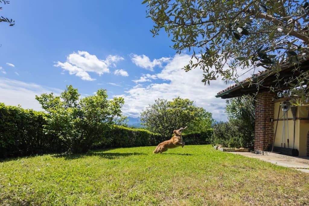 Villa Bruno Selvago In Lessona Buitenkant foto